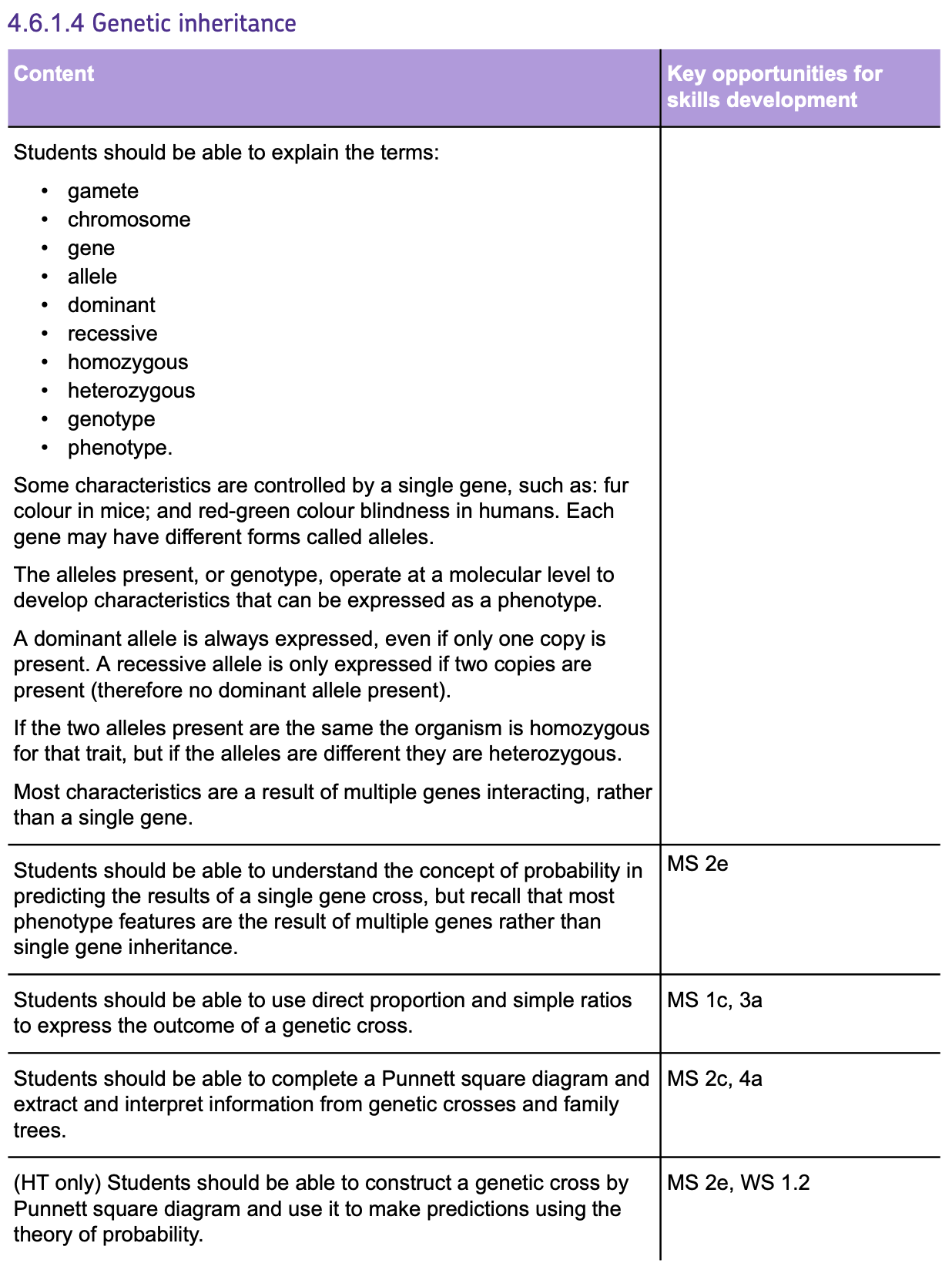 gbatch6-1-4spec